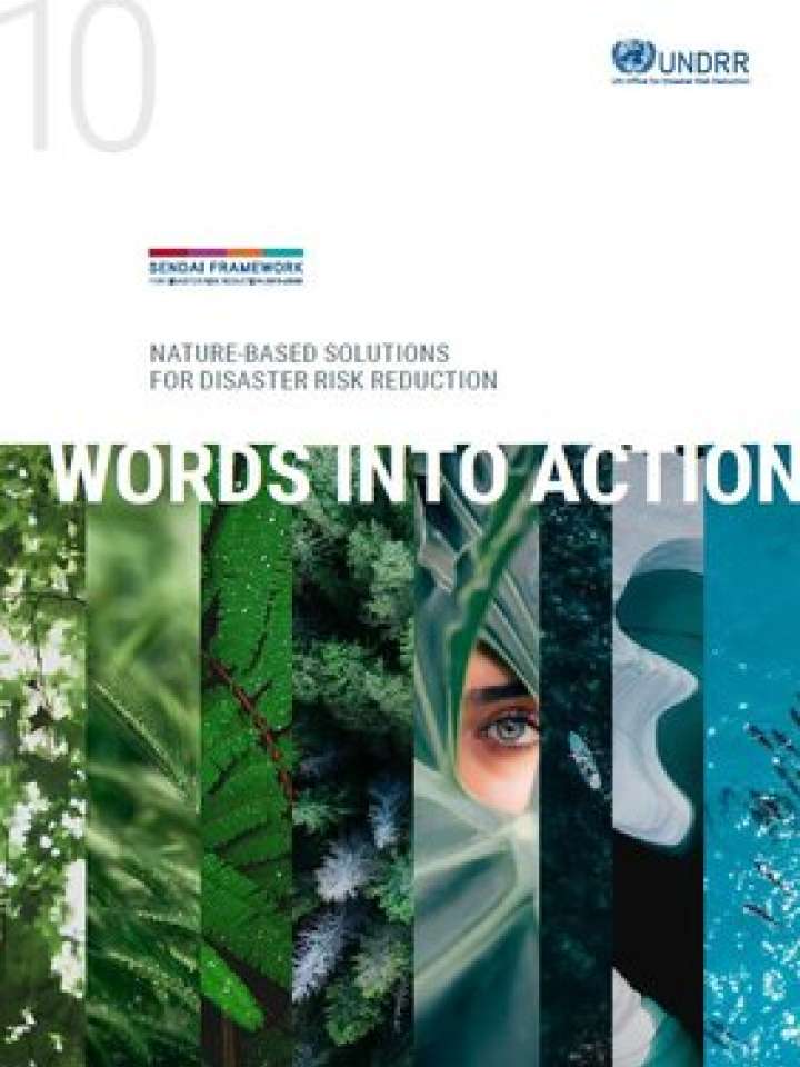 This is the cover of the WiA guide for Nature-based Solutions