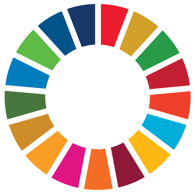 SDG wheel